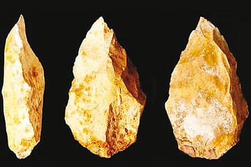 We Left Africa Earlier