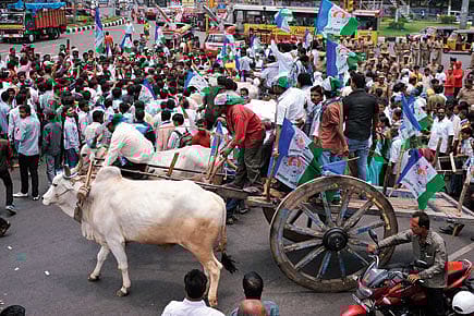 Fuel for Thought Fuel for Thought