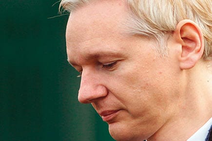 Wiki Movie Wiki Movie