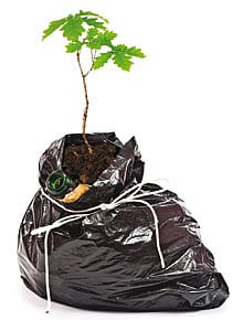 Delhi Delight Delhi Delight