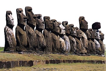 The Benefits of a Potbelly