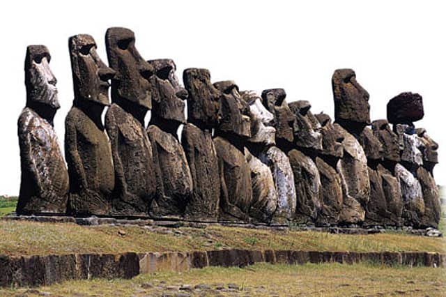 The Benefits of a Potbelly