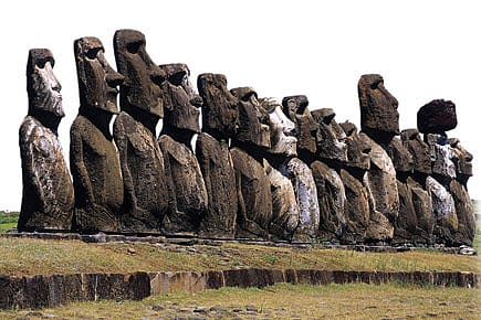 The Benefits of a Potbelly The Benefits of a Potbelly