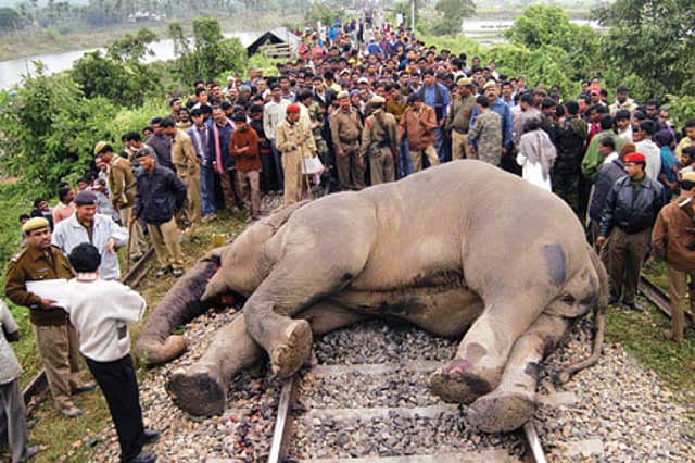 Revenge, Jumbo Style