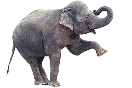 Out of Danger Out of Danger