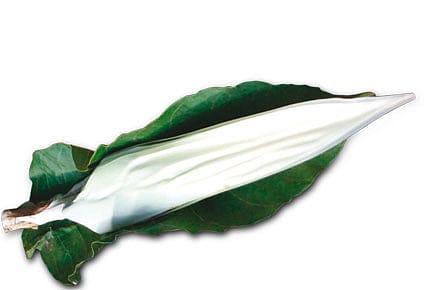 Flower High