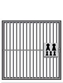 Jail Term as Birth Control