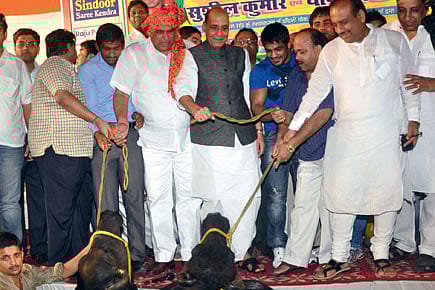 A Fight for Olympic Medallists