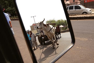Bullock Carts Are Costlier than Nanos