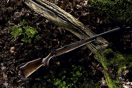 Wildlife Rangers Armed to the Teeth