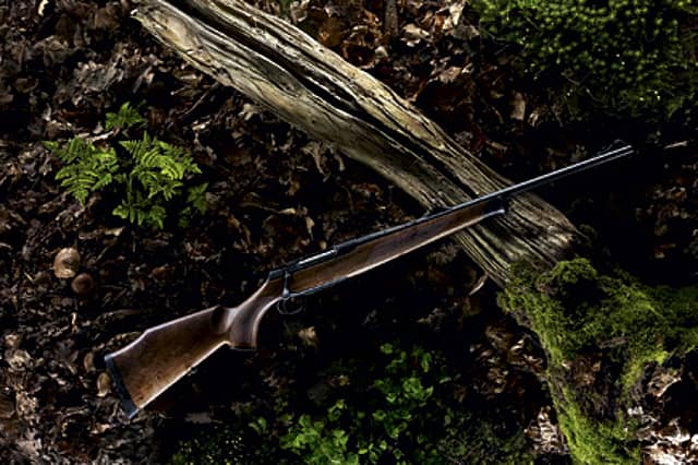 Wildlife Rangers Armed to the Teeth