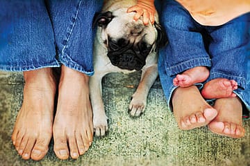 Hum Do Hamara Ek Kutta