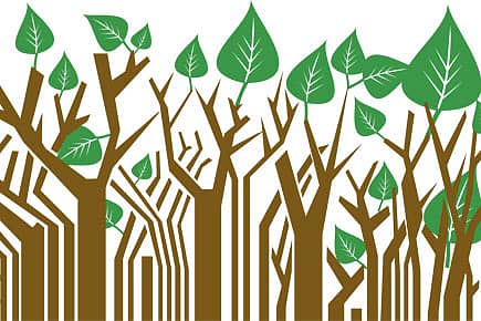 A Measure of Green
