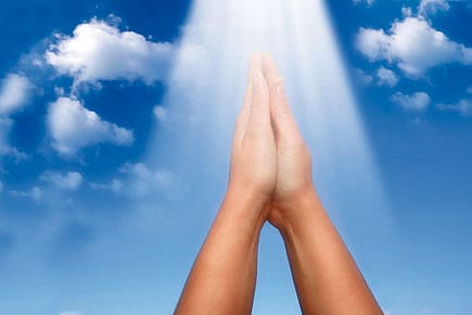 Shed Some Light, Please Shed Some Light, Please