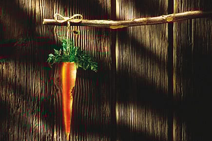 The Freebie Manifesto The Freebie Manifesto