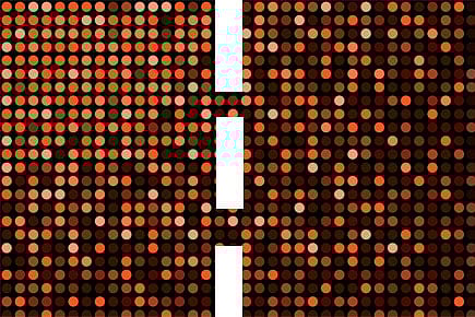 Open Roads Open Roads