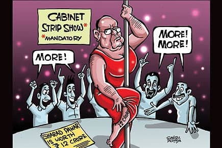 Revenge of the Cartoon
