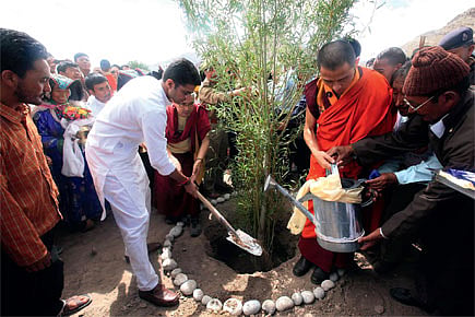 No Rain, No Tree Planting