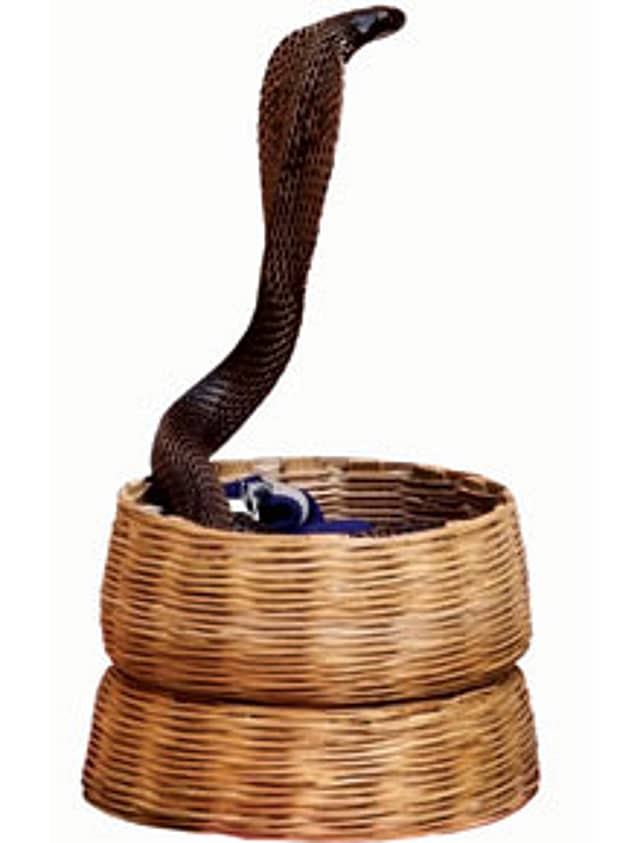 And Now, a Pungi Protest