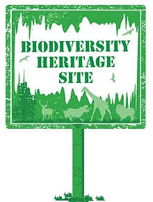 A Question of Heritage