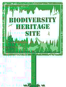 A Question of Heritage