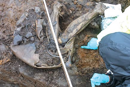 Perfect 4,000-Year-Old Skin