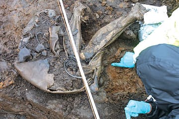 Perfect 4,000-Year-Old Skin