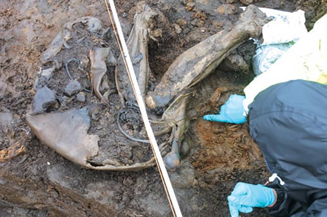 Perfect 4,000-Year-Old Skin