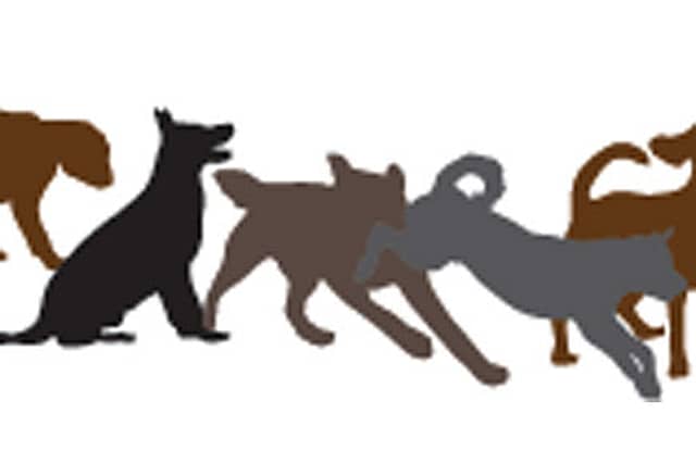 Judgement Day for Strays