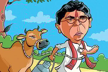 Raj Thackeray to Turn Milkman