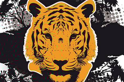 God versus Tiger