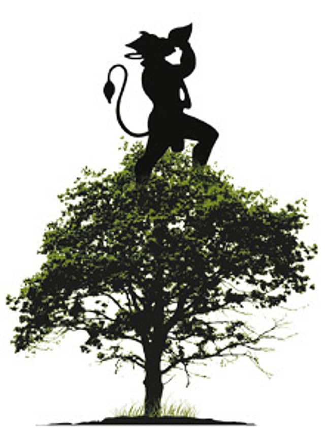Tree’s Company
