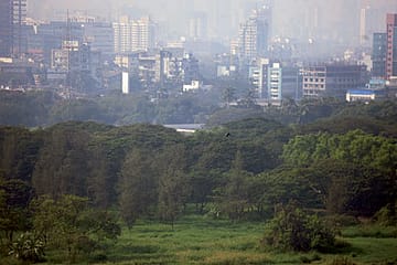 You Really Cannot Count on Them