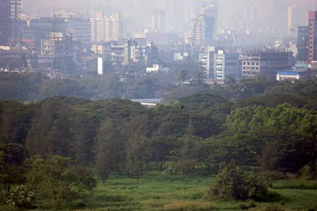 You Really Cannot Count on Them