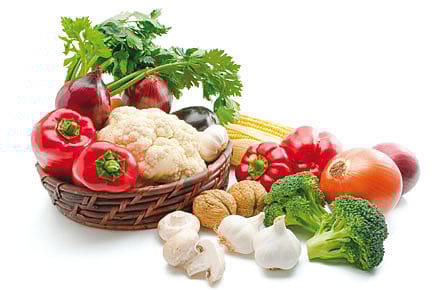 Vegetarians Prone to Brain Disorders Vegetarians Prone to Brain Disorders