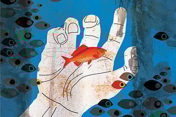 The Mindboggling Tax Cut