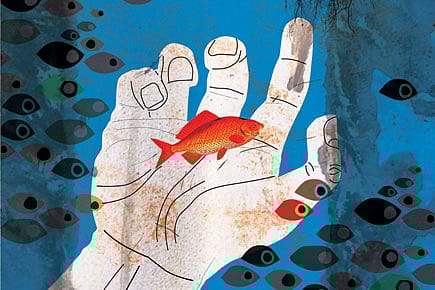 The Mindboggling Tax Cut The Mindboggling Tax Cut