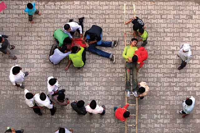 A Degree in Terrorism