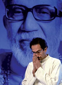 The Cub’s Last Roar