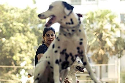 The Inner Dog’s Life