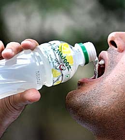 Clash of the Nimbu Paanis