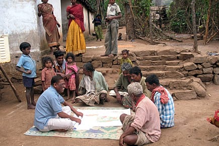 Son of the Tiger Forest