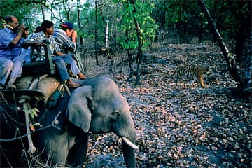 The Nonsense of No-Go Zones