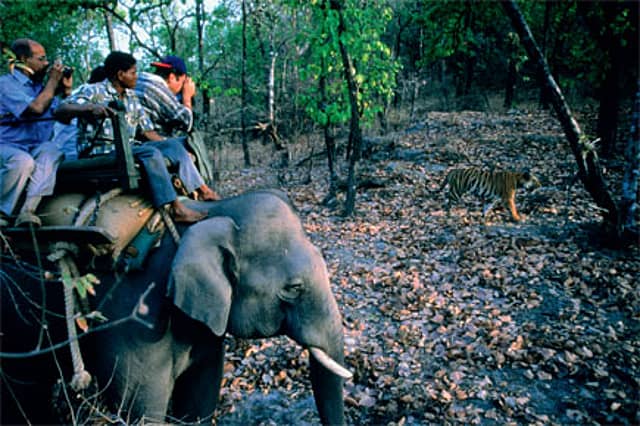 The Nonsense of No-Go Zones