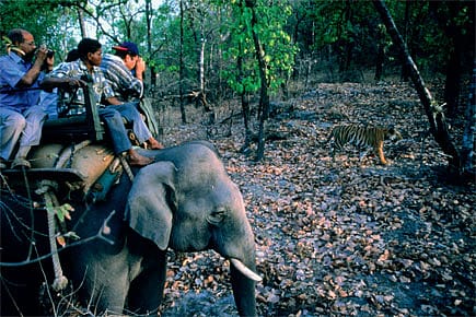 The Nonsense of No-Go Zones The Nonsense of No-Go Zones