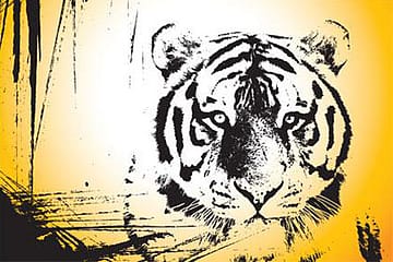 Killing Them with Kindness