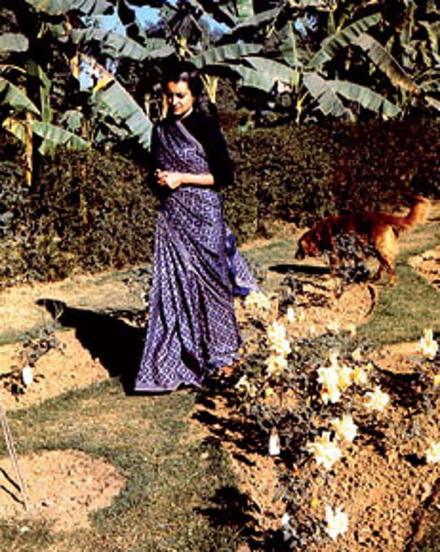 The Trouble with Tribunals