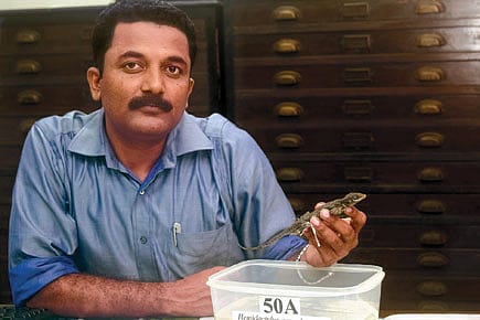 Mr Creepy Crawly Mr Creepy Crawly