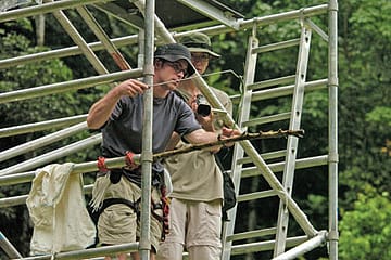 To Catch a Flying Snake