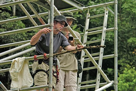 To Catch a Flying Snake To Catch a Flying Snake